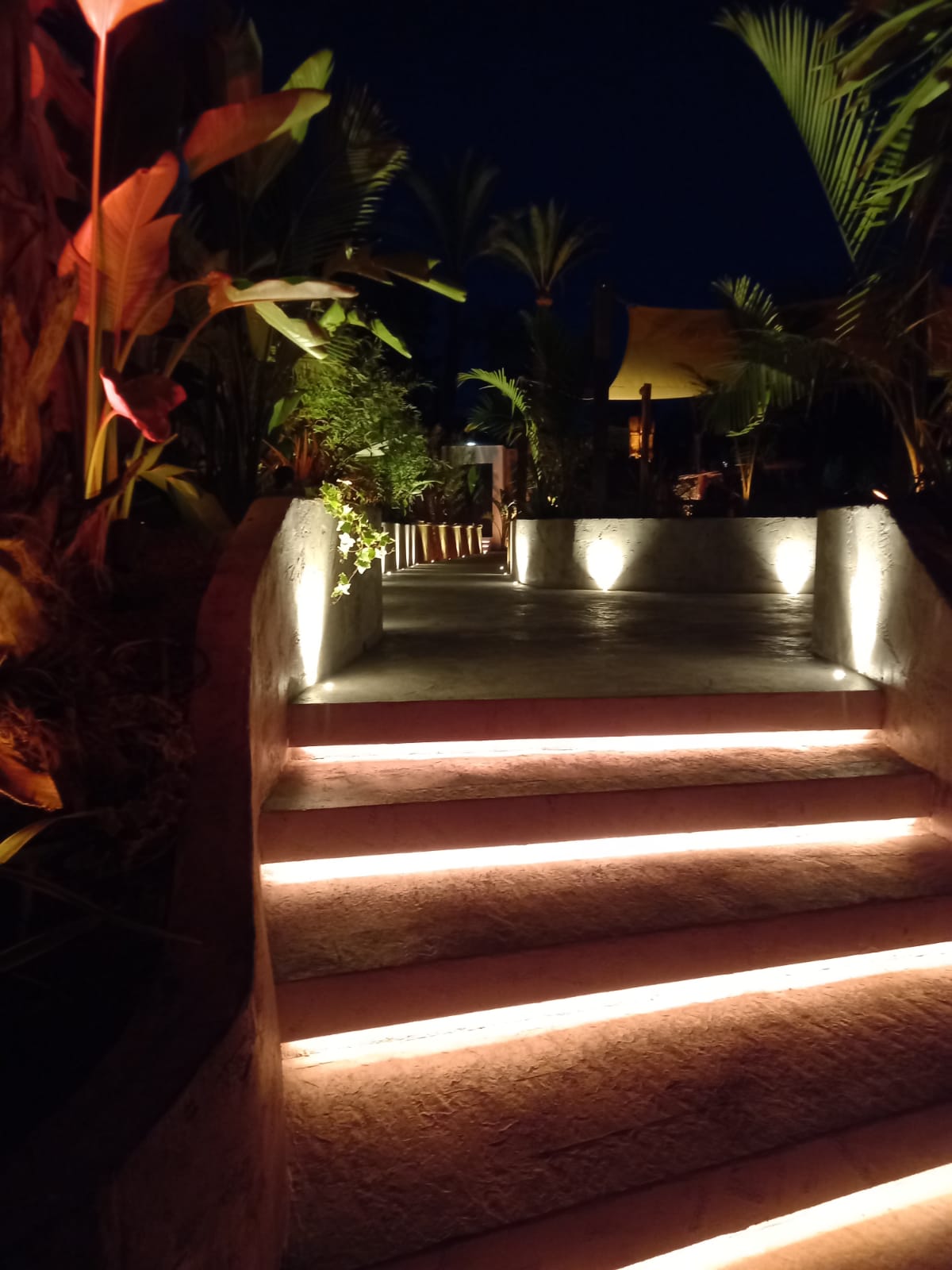 08 Mogli Marbella Club