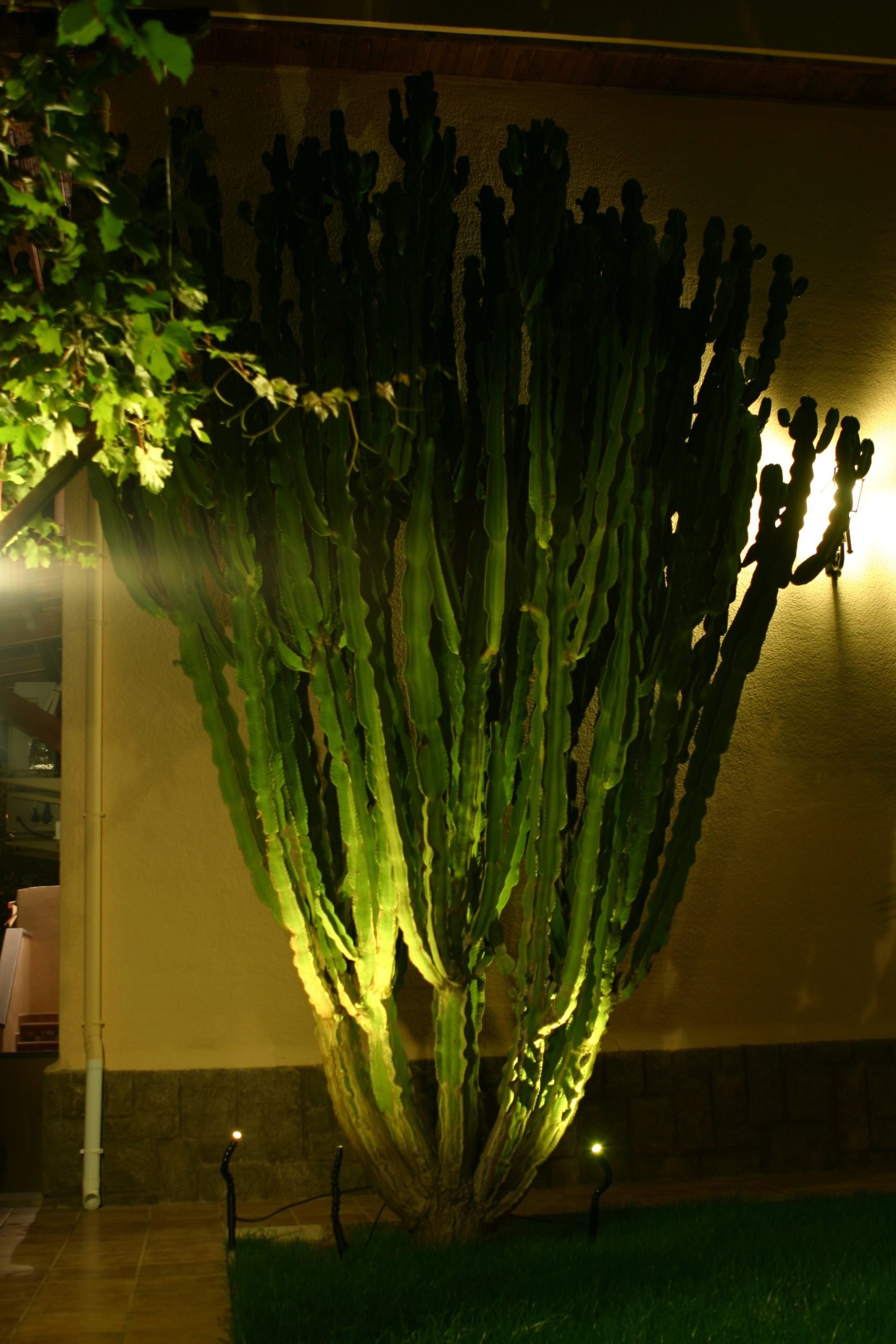 22 Jardín Chalet Particular