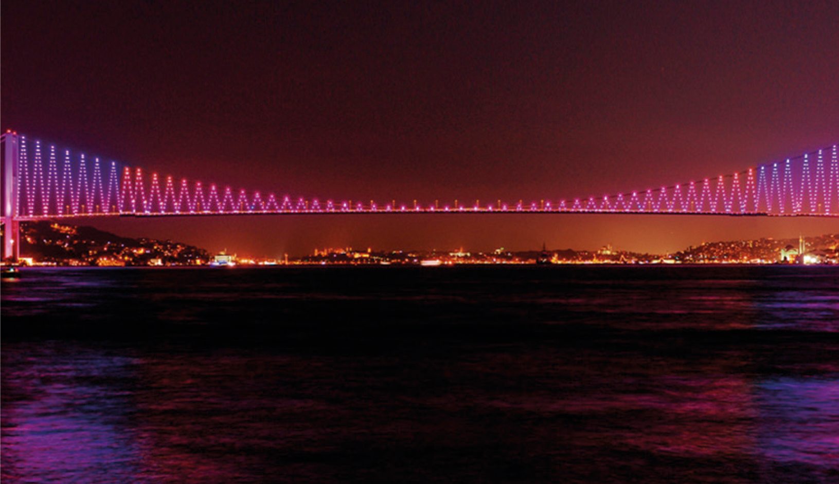 Ribflex programable 1