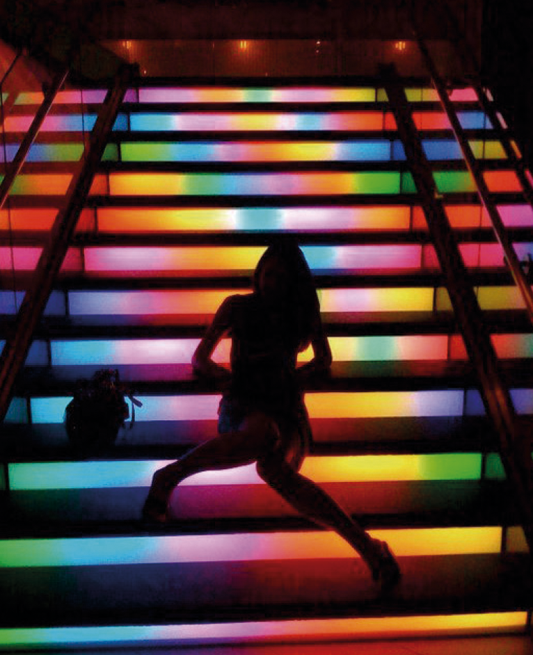 Ribflex programable 3